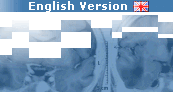 English Version